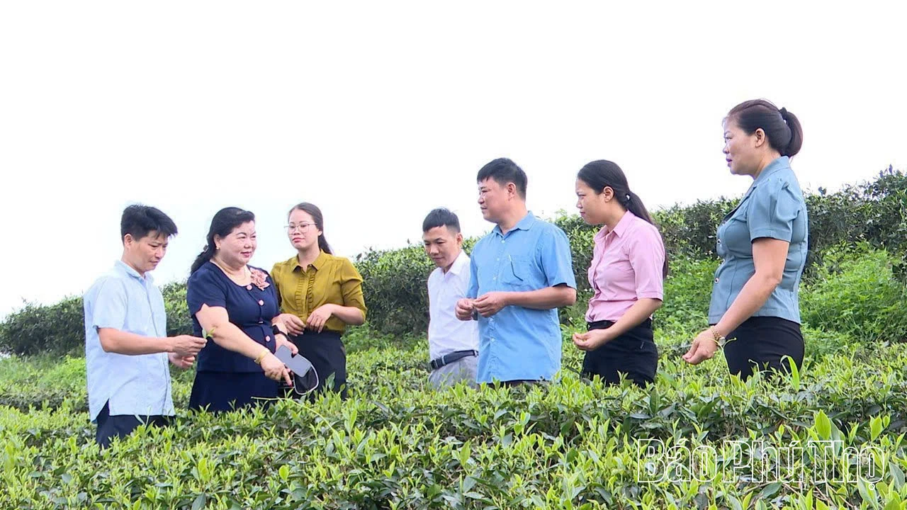 פו טו מיישמת באופן יזום את הסכם הסחר החופשי של ארה