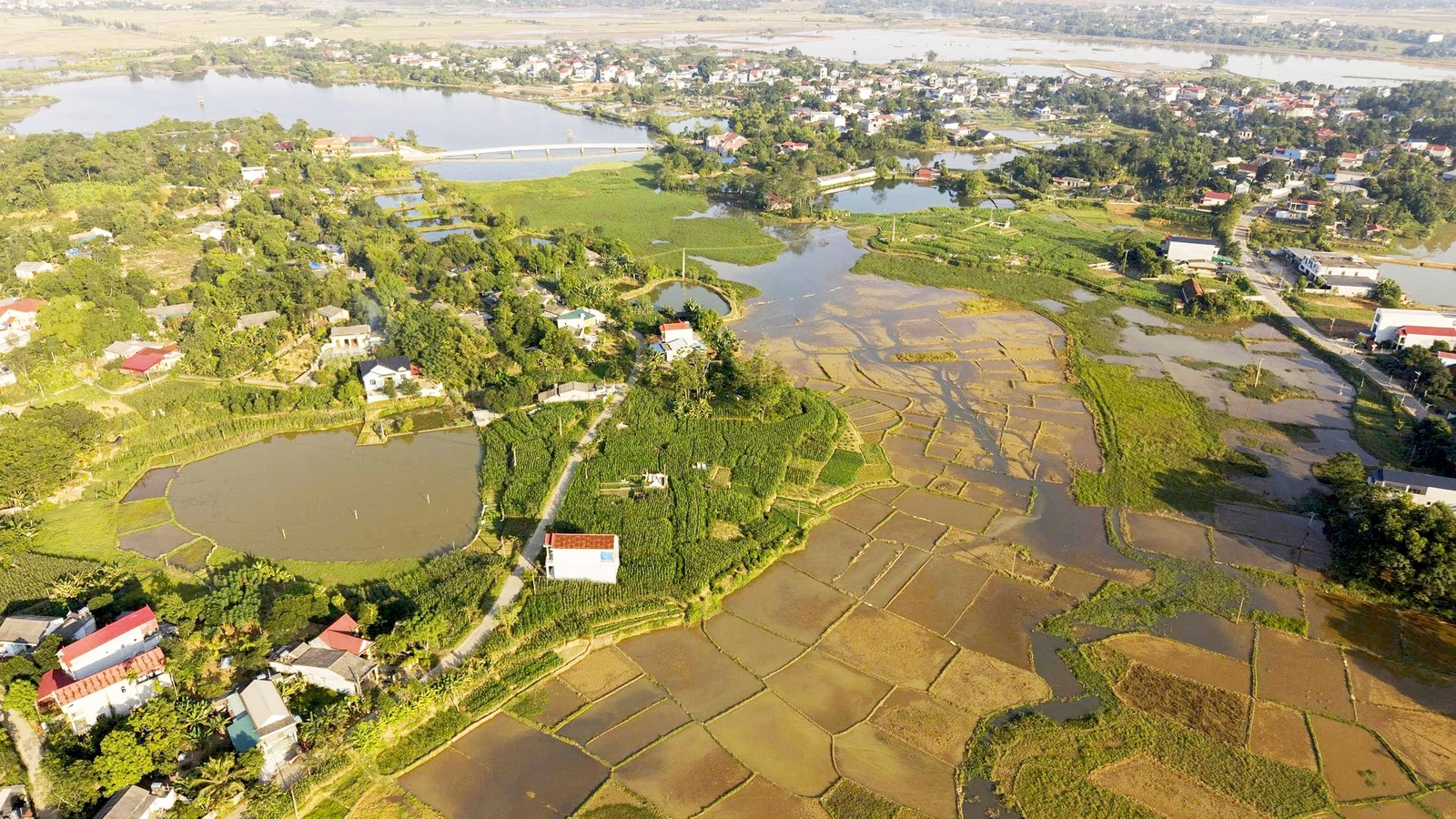 המפתח לקידום פרויקטים חקלאיים.