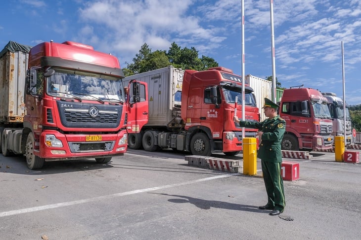 Pilotní program obousměrné nákladní dopravy mezi Vietnamem a Čínou začne po dobu jednoho roku - Foto 1. hàng hóa - Ảnh 1.