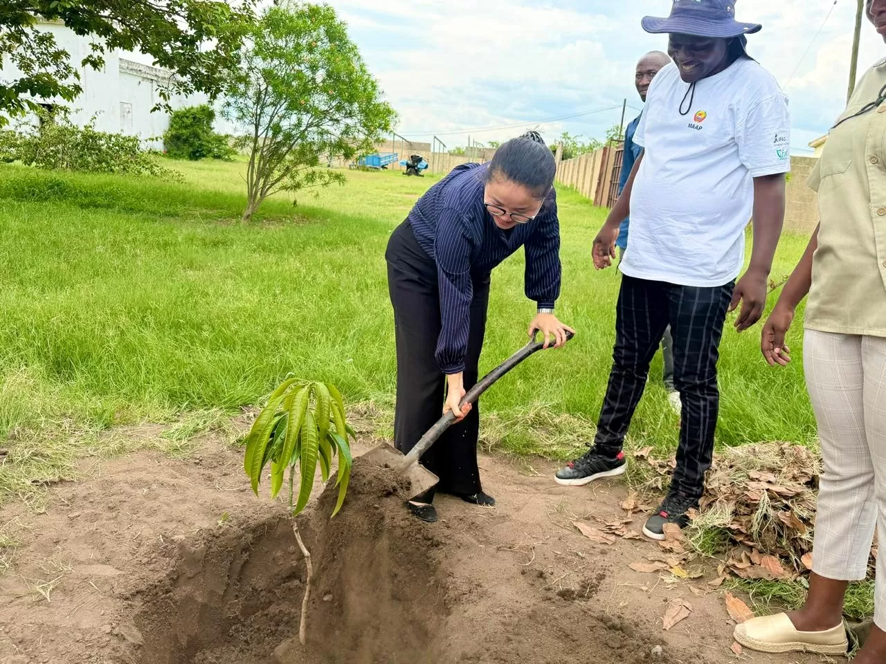 ສະຖານທູດຫວຽດນາມ ປະຈຳໂມຊຳບິກ Đại sứ quán Việt Nam tại Mozambique