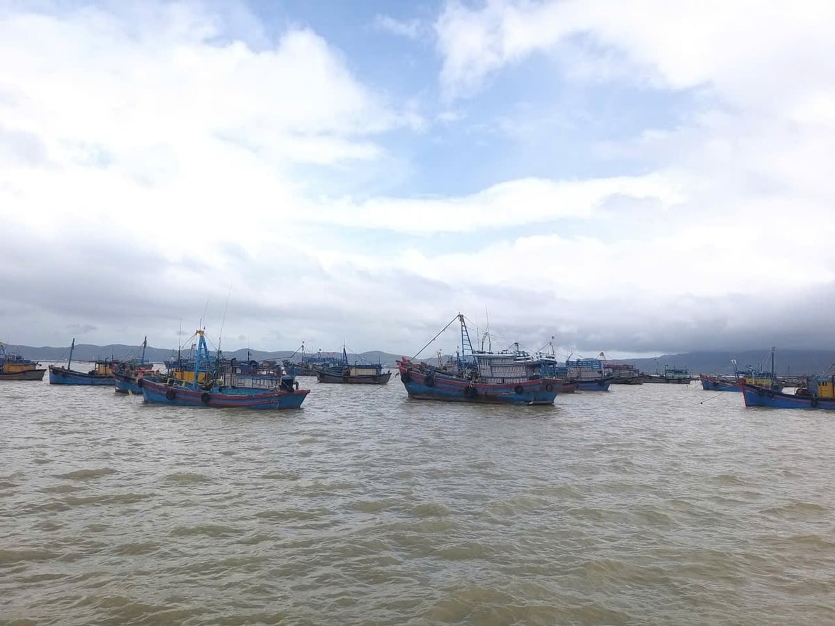 100% kapal penangkap ikan yang beroperasi di area tersebut berada di bawah pengawasan ketat. Foto: Tran Tho. 100% tàu cá đang hoạt động trên địa bàn được kiểm soát chặt chẽ. Ảnh: Trần Thọ.