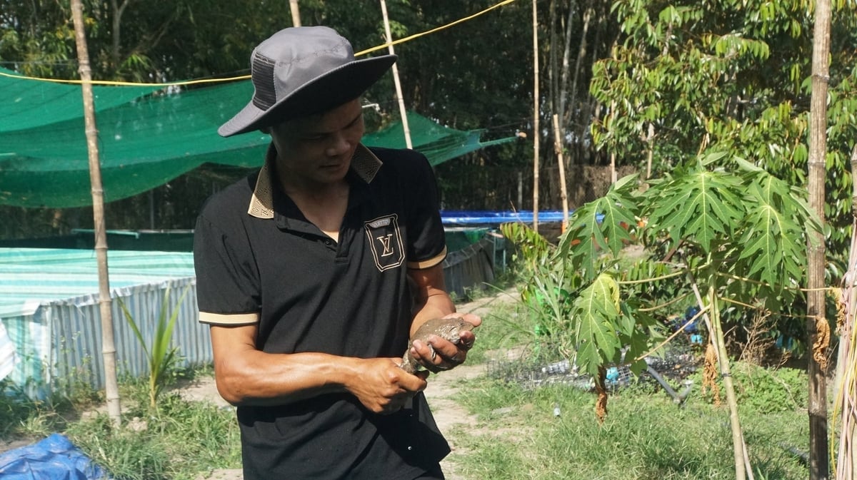 លោក ត្រឹន វ៉ាន់ យុង មានសេចក្តីសោមនស្សរីករាយជាខ្លាំងចំពោះលទ្ធផលនៃការងាររបស់លោក។ រូបថត៖ ត្រឹន ទ្រុង។ Anh Trần Văn Dũng phấn khởi bên thành quả của mình. Ảnh: Trần Trung.