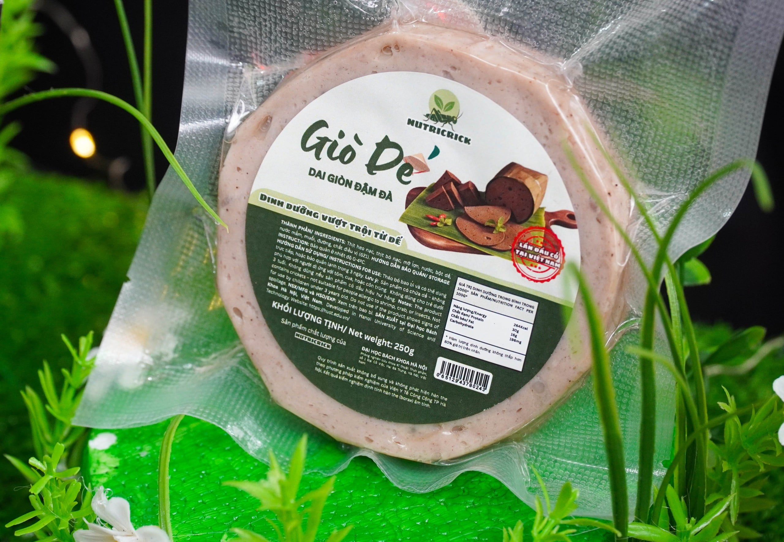 Sinh viên chen chân thử giò chả, kho quẹt, bánh quy làm từ dế  - Ảnh 4.