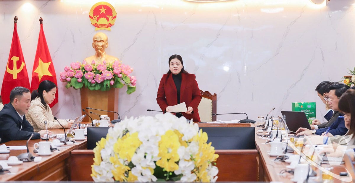 Kamrat Nguyen Thi Loan, vice ordförande för provinsens folkkommitté, ledde mötet.