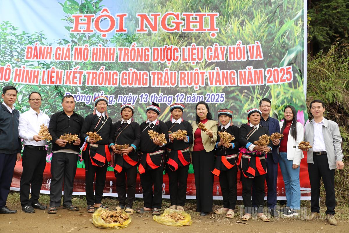 Des responsables du département de la propagande et de la mobilisation des masses du comité provincial du Parti et du sous-département provincial de la protection des végétaux et de la production agricole ont inspecté la zone plantée d'anis étoilé.