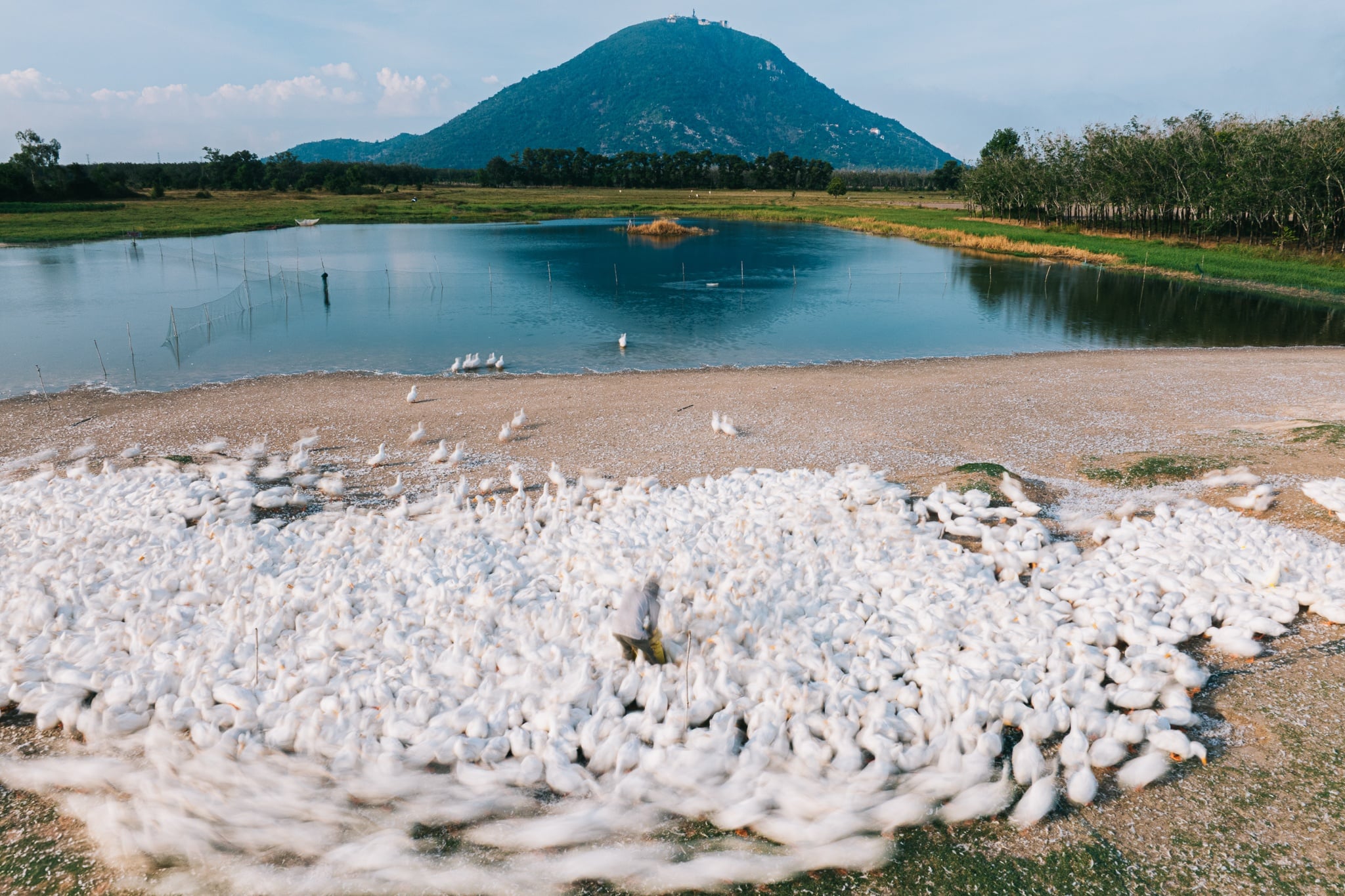 Tây Ninh ảnh 1 Tay Ninh anh 1