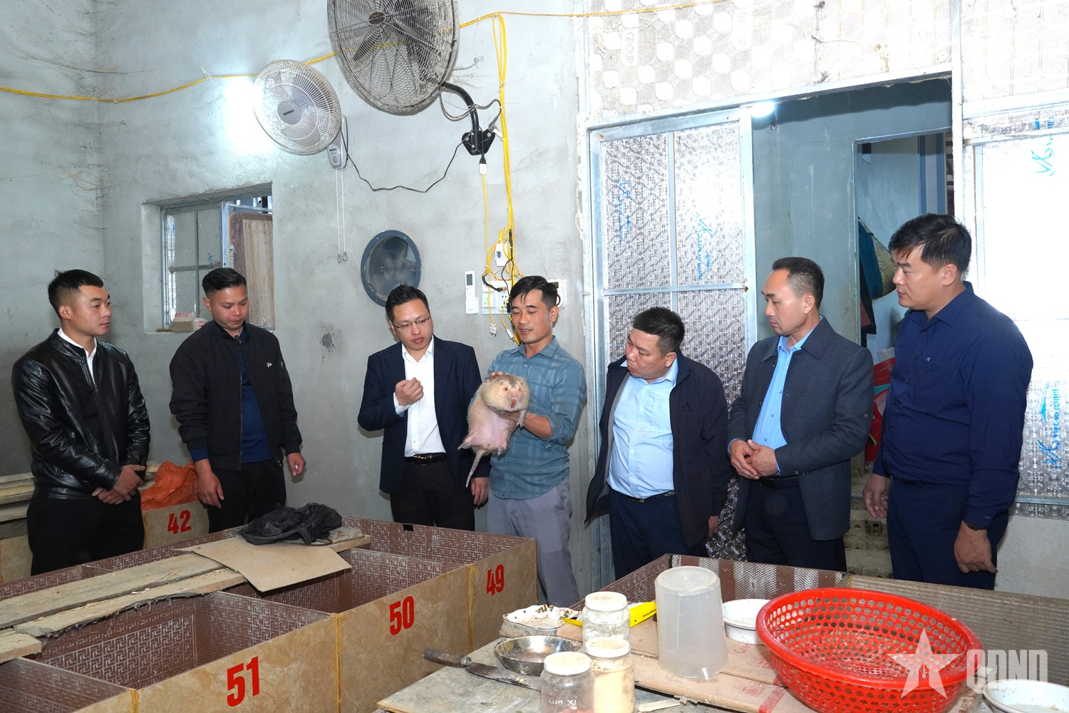 ម្ចាស់គំរូបង្កាត់ពូជជ្រូកហ្គីណេនៅឃុំង៉ុកត្រាវ (ខេត្តថាញ់ហ័រ) កំពុងណែនាំពីដំណើរការបង្កាត់ពូជដល់គណៈប្រតិភូមកពីឃុំសើនវី (ខេត្តទុយអានក្វាង)។