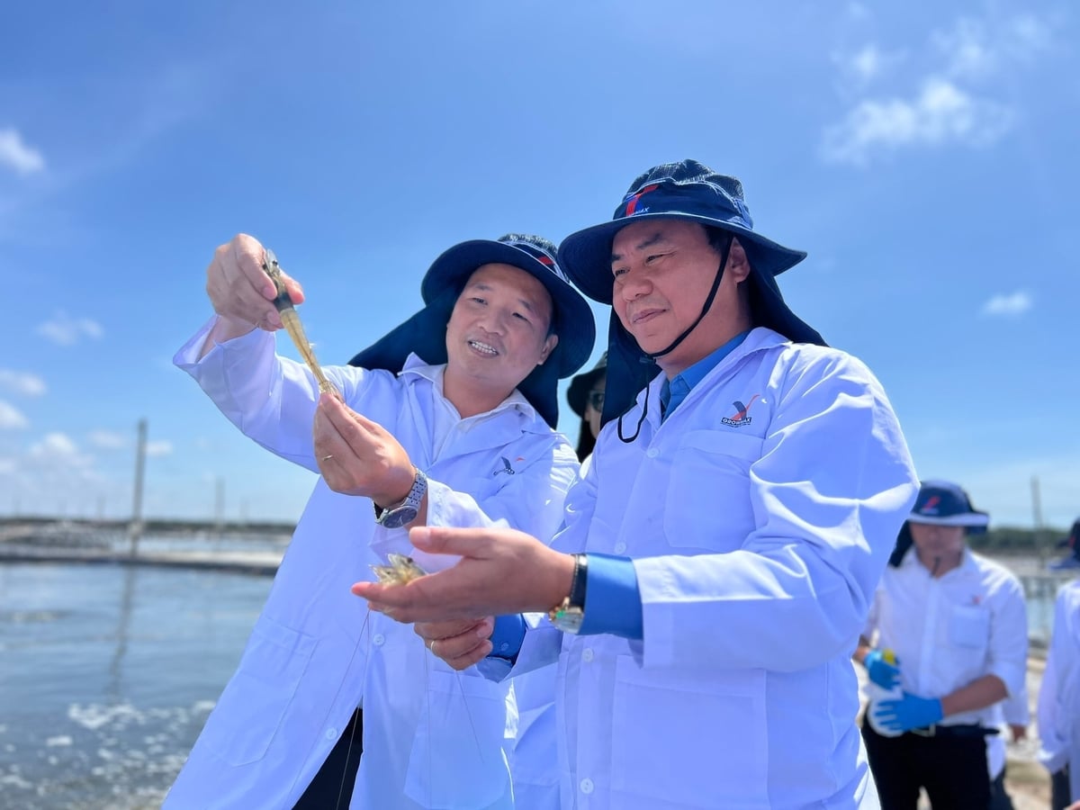 ព្រឹត្តិការណ៍នេះក៏មានគោលបំណងពង្រីកទីផ្សារអ្នកប្រើប្រាស់ ភ្ជាប់ពាណិជ្ជកម្ម និងបង្កើនតម្លៃ និងពាណិជ្ជសញ្ញាផលិតផល OCOP វៀតណាមសម្រាប់ភ្ញៀវទេសចរក្នុងស្រុក និងអន្តរជាតិ។ រូបថត៖ ត្រុង លីញ។ Sự kiện cũng nhằm mở rộng thị trường tiêu thụ, kết nối giao thương, nâng cao giá trị và thương hiệu OCOP Việt Nam đối với du khách trong nước và quốc tế. Ảnh: Trọng Linh.