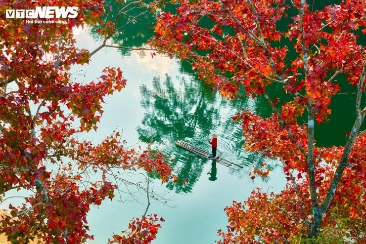 Η τεχνητή λίμνη στο Κάο Μπανγκ είναι τόσο ζωντανή όσο το ευρωπαϊκό τοπίο κατά τη διάρκεια της φθινοπωρινής περιόδου φυλλώματος - 12