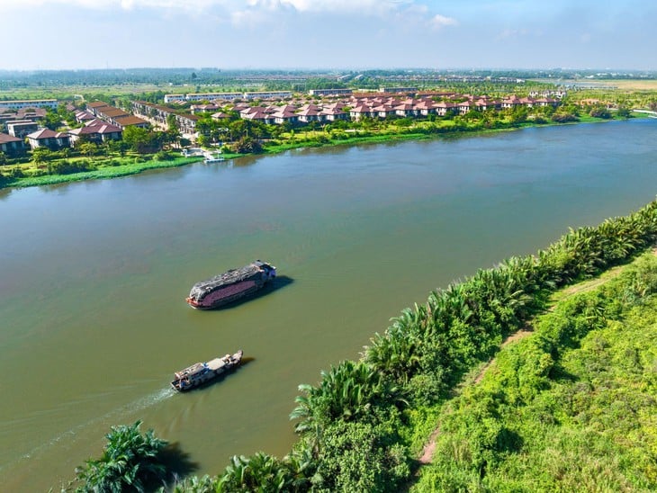 kiều bào - Ảnh 2.