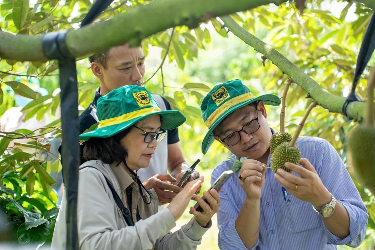 Công ty sẽ tiếp tục ứng dụng công nghệ thông tin từ khâu quản lý sản xuất, kiểm soát chất lượng đến tương tác với hệ thống phân phối và cung cấp thông tin kỹ thuật canh tác chính xác cho bà con nông dân. Ảnh: NV.