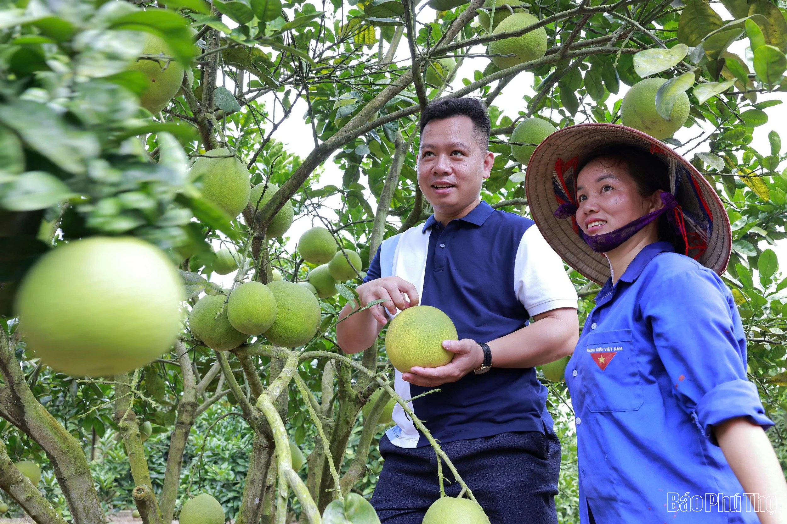 Mot ekologiskt och cirkulärt jordbruk.
