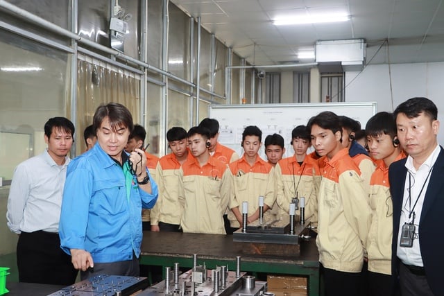 លក្ខណៈវិនិច្ឆ័យធានាគុណភាពជាកាតព្វកិច្ច នៅពេលដែលសាកលវិទ្យាល័យផ្តល់ការបណ្តុះបណ្តាលកម្រិតមហាវិទ្យាល័យ - រូបភាពទី 1។ Những tiêu chí bắt buộc bảo đảm chất lượng khi đại học đào tạo cao đẳng- Ảnh 1.