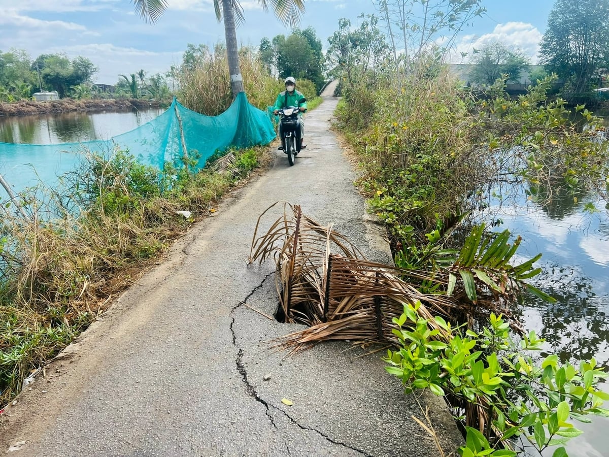 Sesuvy půdy ovlivnily i silniční dopravu. Foto: Trong Linh. Sạt lở cũng đã ảnh hướng đến giao thông đường bộ. Ảnh: Trọng Linh.