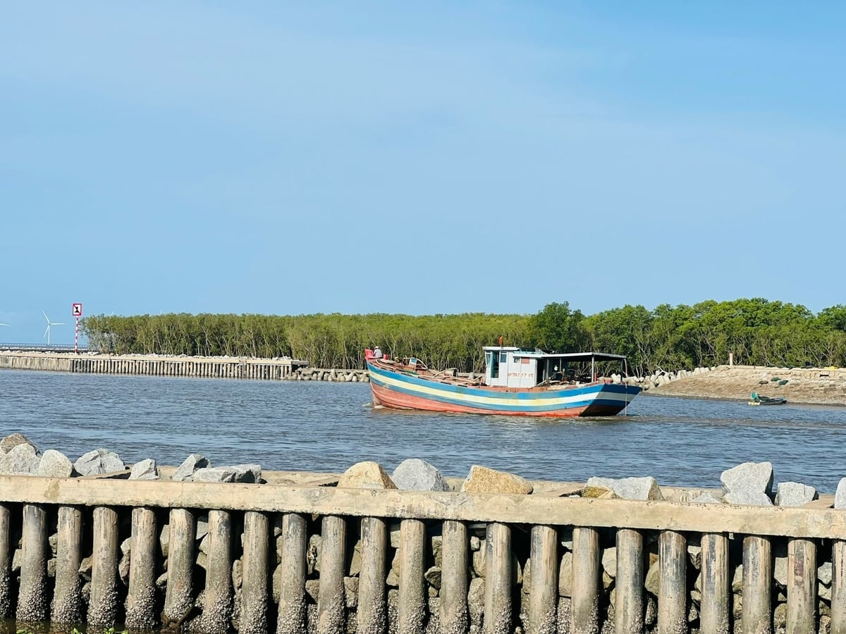 Vlnolamy účinně chrání pobřeží. Foto: Trong Linh. Kè chắn sóng bảo vệ bờ biển hiệu quả. Ảnh: Trọng Linh.