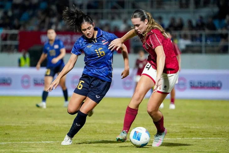 indonesia - Ảnh 2.