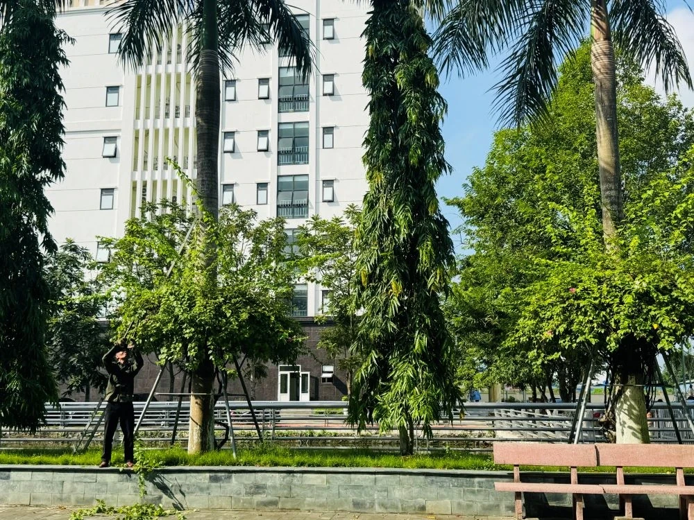 មន្ទីរពេទ្យទូទៅ Ha Trung បង្កើតបរិយាកាសគ្មានផ្សែងបារី។