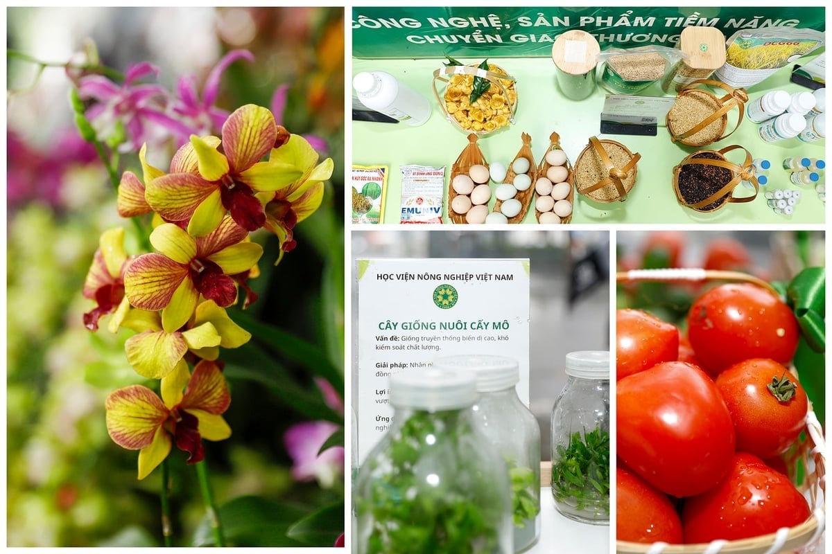 Một số sản phẩm khoa học công nghệ tiêu biểu của Học viện Nông nghiệp Việt Nam tại TECHFEST Viêt Nam 2025. Ảnh: Khương Trung.