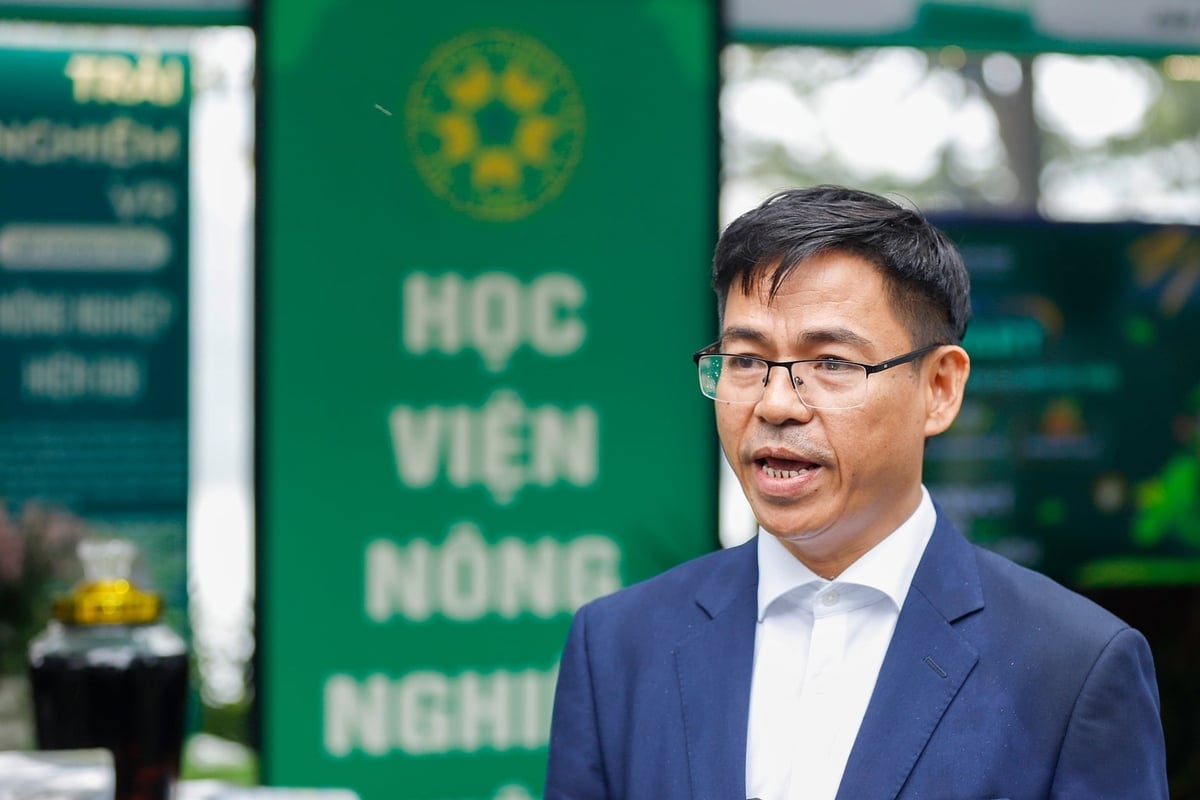 PGS.TS Trần Hiệp, Trưởng ban Khoa học Công nghệ (Học viện Nông nghiệp Việt Nam). Ảnh: Khương Trung.