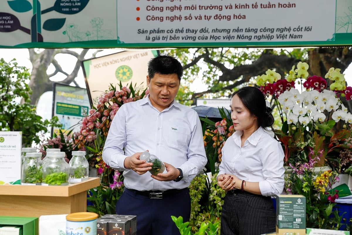 PGS.TS. Nguyễn Đức Tùng, Phó trưởng Khoa Nông học (Học viện Nông nghiệp Việt Nam) cùng sinh viên Học viện giới thiệu sản phẩm giống cây trồng mới của Học viện. Ảnh: Khương Trung.