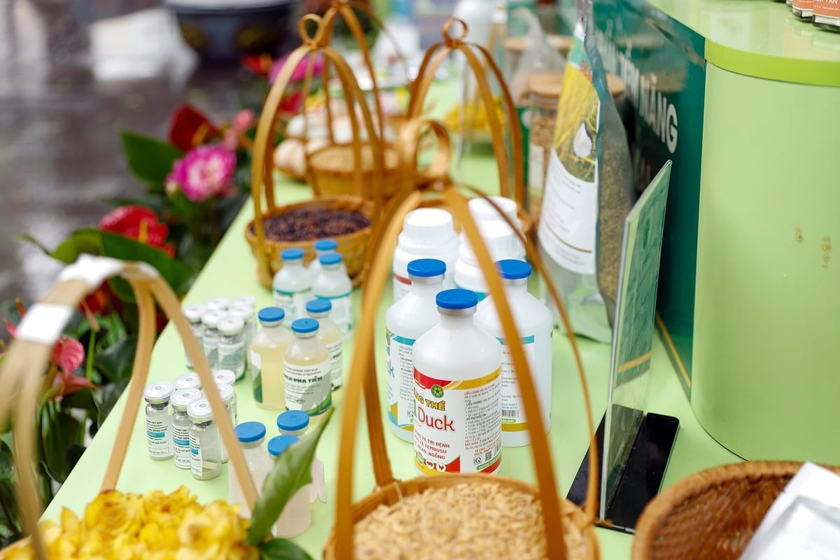 Tại TechFest Việt Nam 2025, Học viện Nông nghiệp Việt Nam giới thiệu hàng loạt sản phẩm khoa học - công nghệ tiêu biểu thuộc các lĩnh vực trồng trọt, bảo vệ thực vật; chăn nuôi, thú y, thủy sản; tài nguyên và môi trường; công nghệ thực phẩm; công nghệ sau thu hoạch; công nghệ sinh học tiên tiến; trí tuệ nhân tạo, IoT và blockchain. Ảnh: Khương Trung.