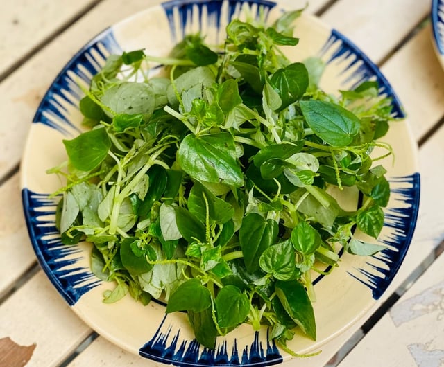 Această legumă sălbatică, care este la fel de scumpă ca și carnea, este un „aliment de aur” pentru persoanele cu gută și diabet. Preparați imediat acest fel de mâncare simplu, dar nutritiv - Fotografia 2. Loại rau mọc hoang nhưng đắt ngang thịt là “thực phẩm vàng” cho người bị gout và tiểu đường, làm ngay món này đơn giản mà bổ dưỡng - Ảnh 2.