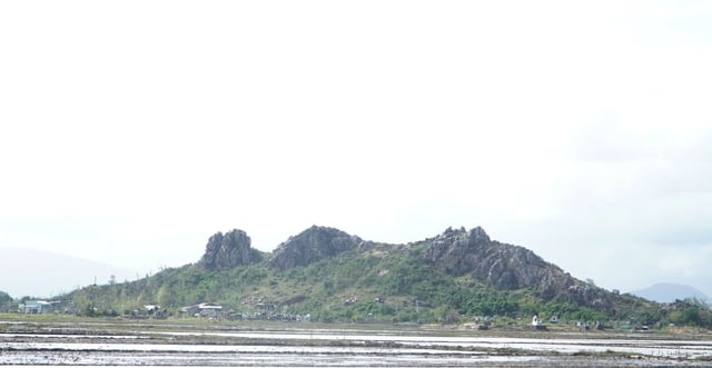 La légende du Géant et de la Montagne à Arêtes de Poisson au bord du lagon de Thi Nai - Photo 1. Huyền tích ông Khổng Lồ và ngọn núi Xương Cá ven đầm Thị Nại- Ảnh 1.