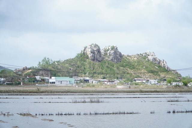 La légende du Géant et de la Montagne à Arêtes de Poisson au bord du lagon de Thi Nai - Photo 2. Huyền tích ông Khổng Lồ và ngọn núi Xương Cá ven đầm Thị Nại- Ảnh 2.