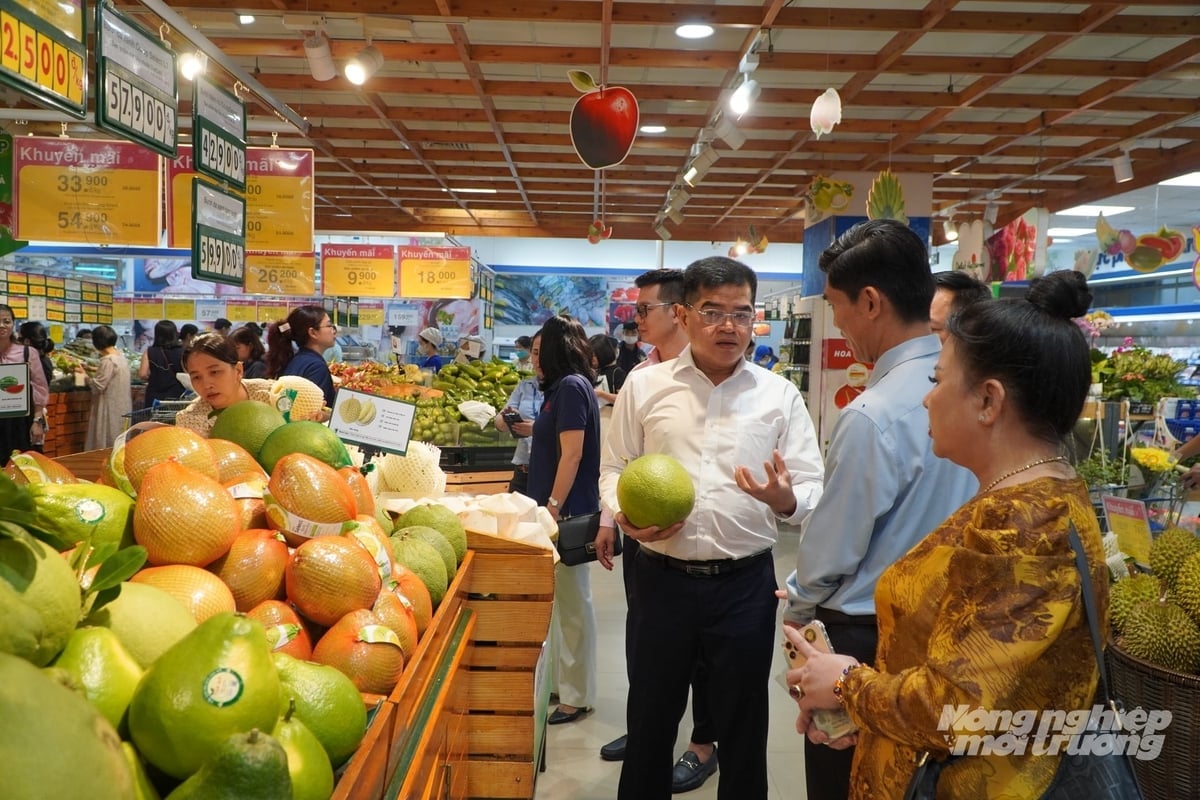 Благодаря участию современных сетей супермаркетов, а также новаторских производственных предприятий в программе «Ответственный зеленый знак», потребители чувствуют себя более уверенно в отношении сельскохозяйственной продукции и продуктов питания. Фото: Нгуен Тхуй. Với sự tham gia của các hệ thống siêu thị hiện đại, cũng như các doanh nghiệp sản xuất tiên phong tham gia chương trình 'Tick xanh trách nhiệm', người tiêu dùng yên tâm hơn về sản phẩm nông sản, lương thực thực phẩm. Ảnh: Nguyễn Thủy.