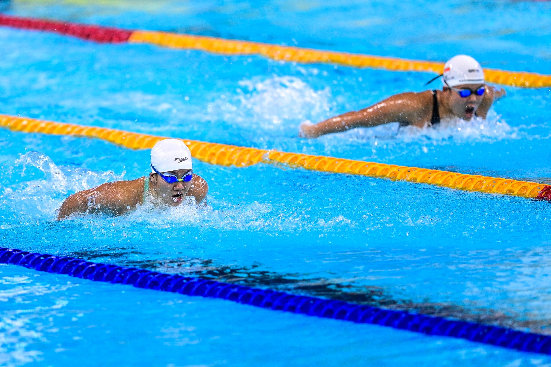 Natation aux Jeux d'Asie du Sud-Est 33 (photo 3) boi sea games 33 anh 3