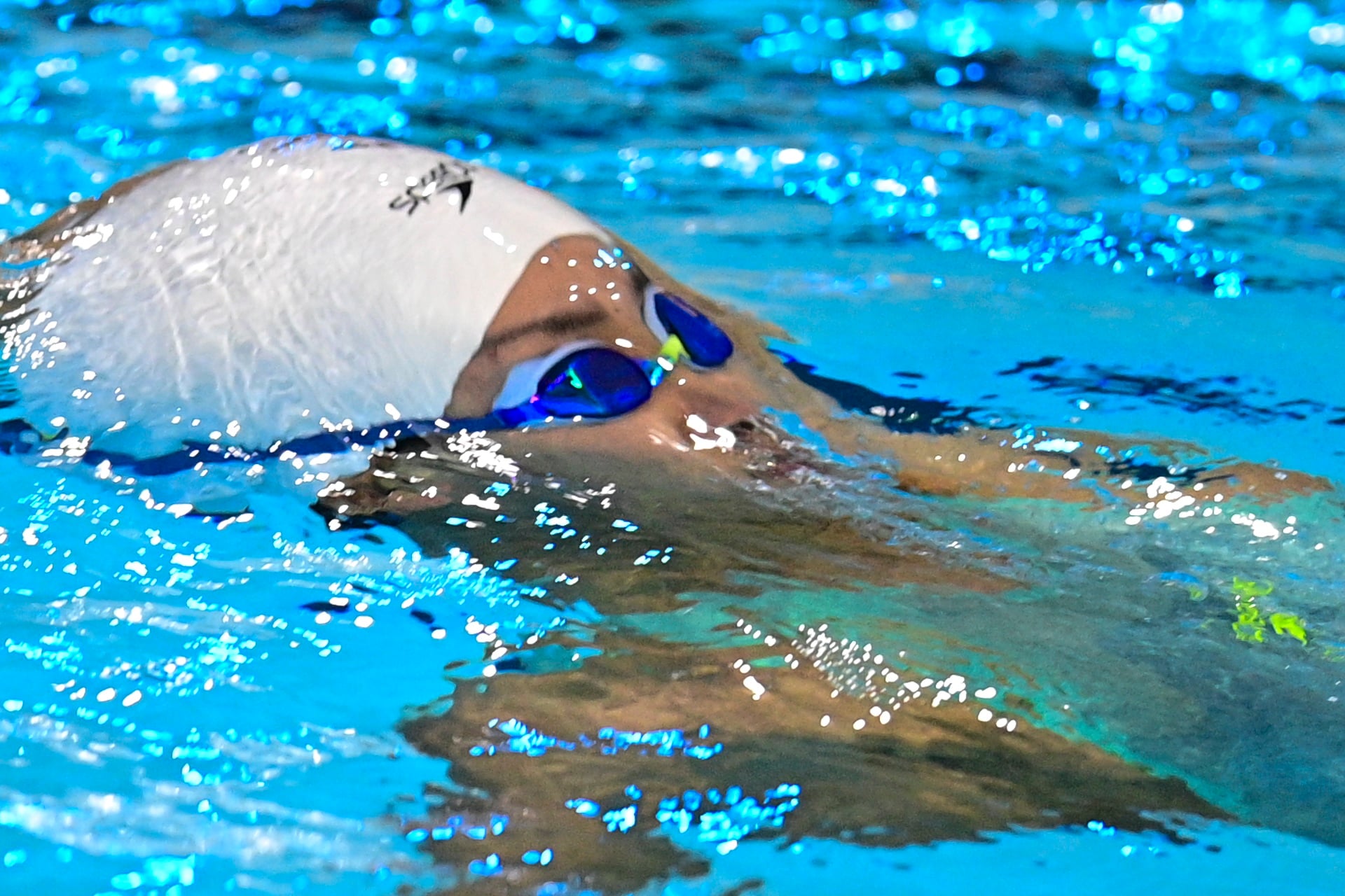 Natation aux Jeux d'Asie du Sud-Est 33 (photo 5) boi sea games 33 anh 5