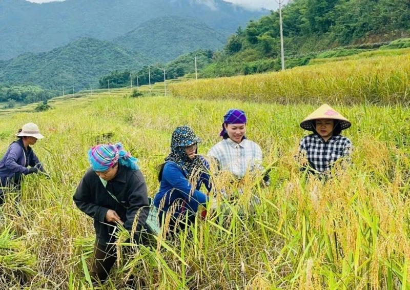 Satul Pùng este înfloritor.