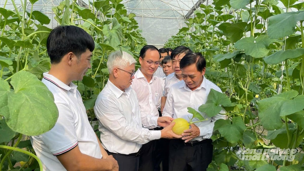 호찌민시는 농업 및 농촌 경제 발전을 새로운 농촌 지역 건설과 연계하여 추진하고 있으며, 고효율 생태 농업, 현대 농촌 지역, 그리고 문명화된 농민 육성에 중점을 두고 있다. 사진: 응우옌 투이. TP.HCM xác định phát triển nông nghiệp, kinh tế nông thôn gắn với xây dựng nông thôn mới theo hướng nông nghiệp sinh thái có hiệu quả cao, nông thôn hiện đại và nông dân văn minh. Ảnh: Nguyễn Thủy.