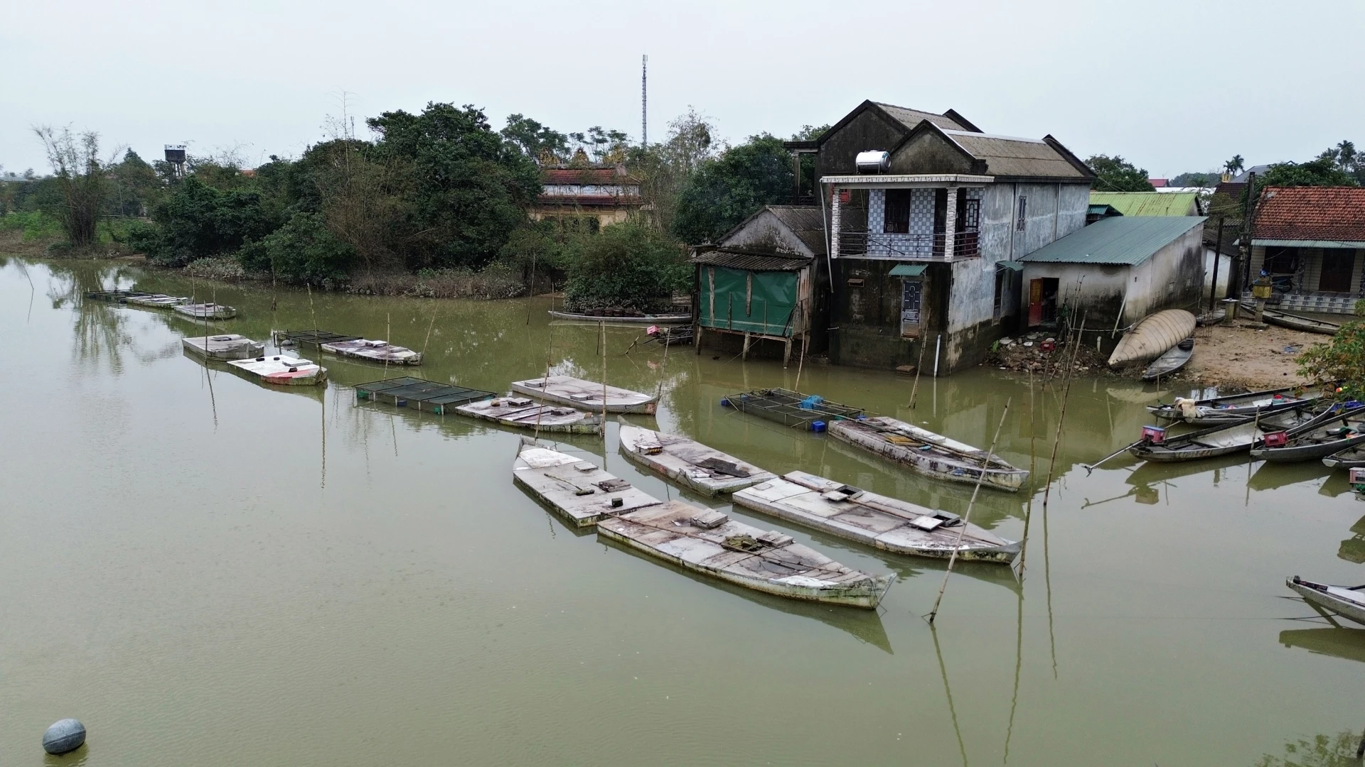 Under regnperioden flyttas fiskburarna närmare stranden och fästs säkert vid varandra - Foto: L.A.