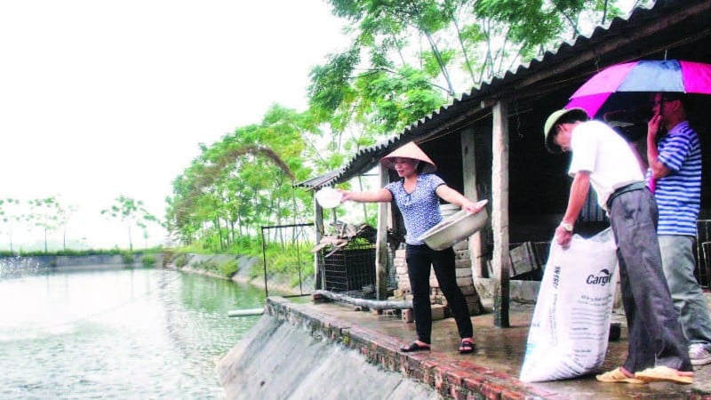 Аквакультура признана ключевым сектором экономики.