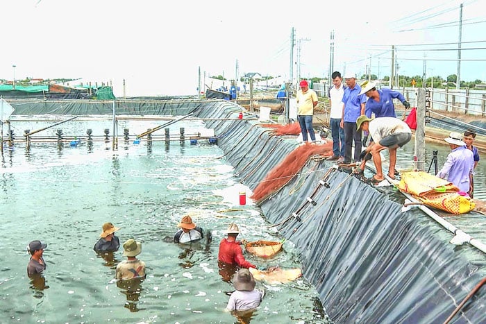 High-tech lov krevet v obci Thanh Hai.