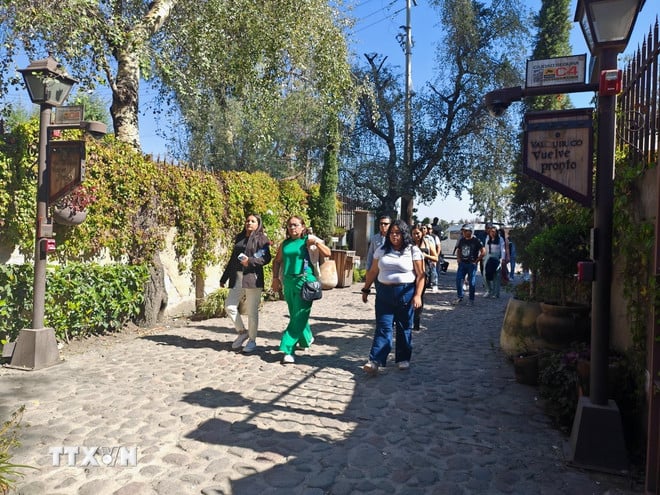 मेक्सिको के टस्कन गांव वैल क्विरिको को जानें। ttxvn-ngoi-lang-tuscany-11.jpg