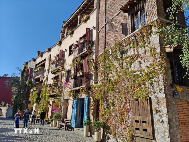 मेक्सिको के टस्कन गांव वैल क्विरिको को जानें। ttxvn-ngoi-lang-tuscany-9.jpg