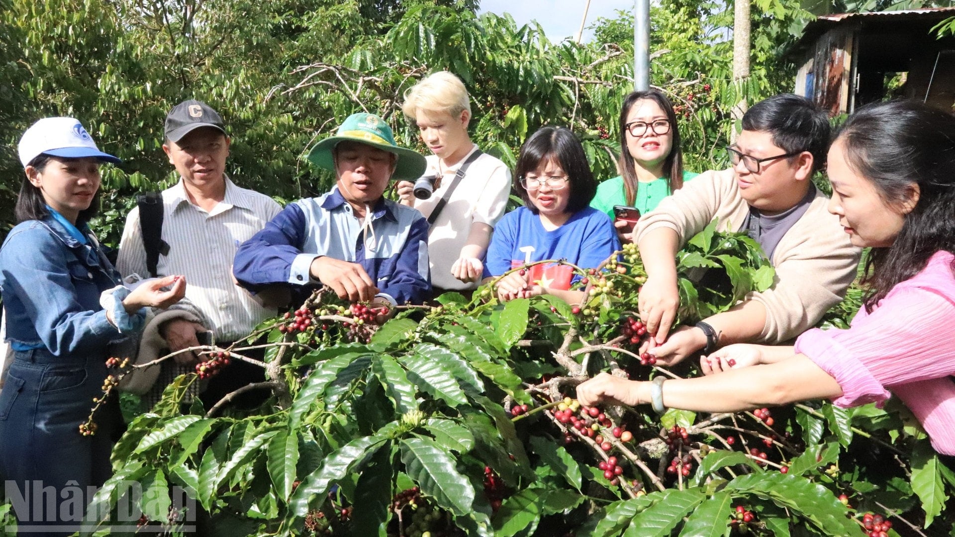 Dak Lak adalah ndo_bl_img-8592-3349.jpg