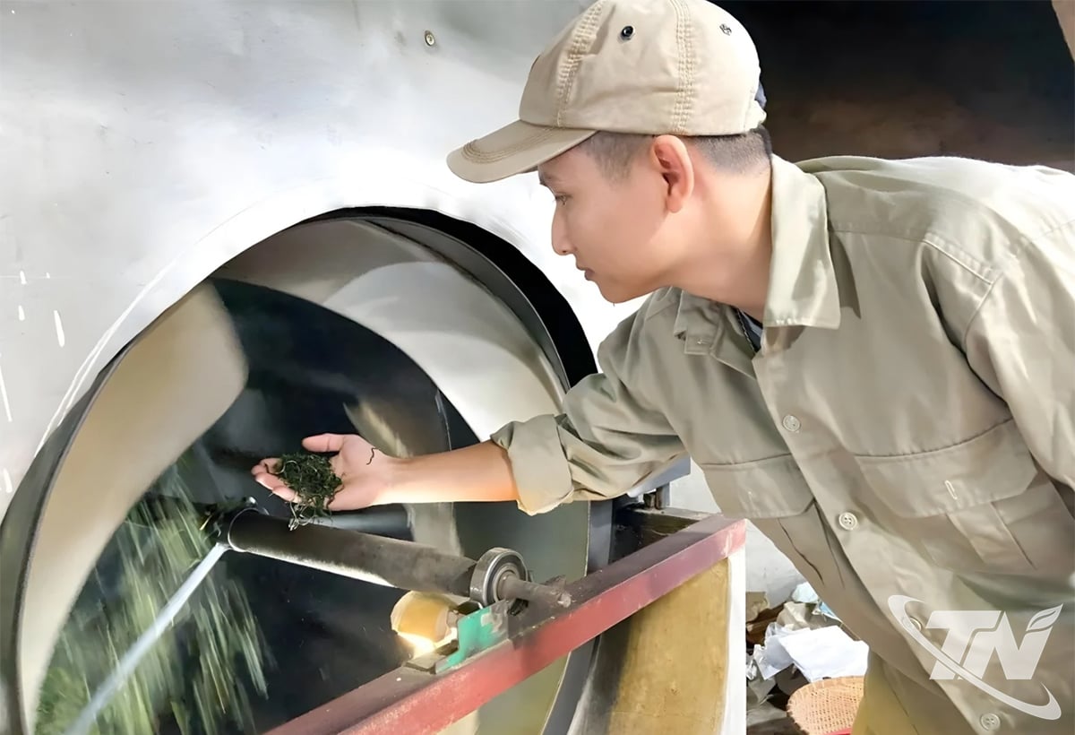 สหกรณ์ผลิตชาปลอดภัยไทยนิงห์ มุ่งมั่นที่จะผลิตชาปลอดภัย โดยมุ่งสู่การผลิตแบบอินทรีย์