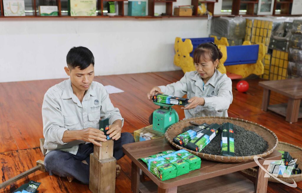 สมาชิกของสหกรณ์การผลิตชาปลอดภัยไทยนิงห์กำลังบรรจุผลิตภัณฑ์ชาคุณภาพสูงของตนเพื่อจำหน่ายในตลาด