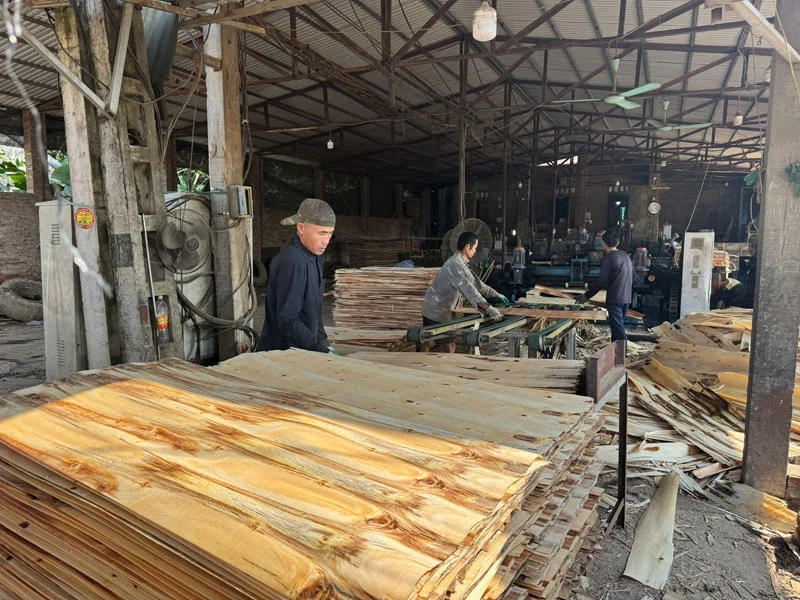 A Luong Son az erdőtelepítést a feldolgozással ötvözi.