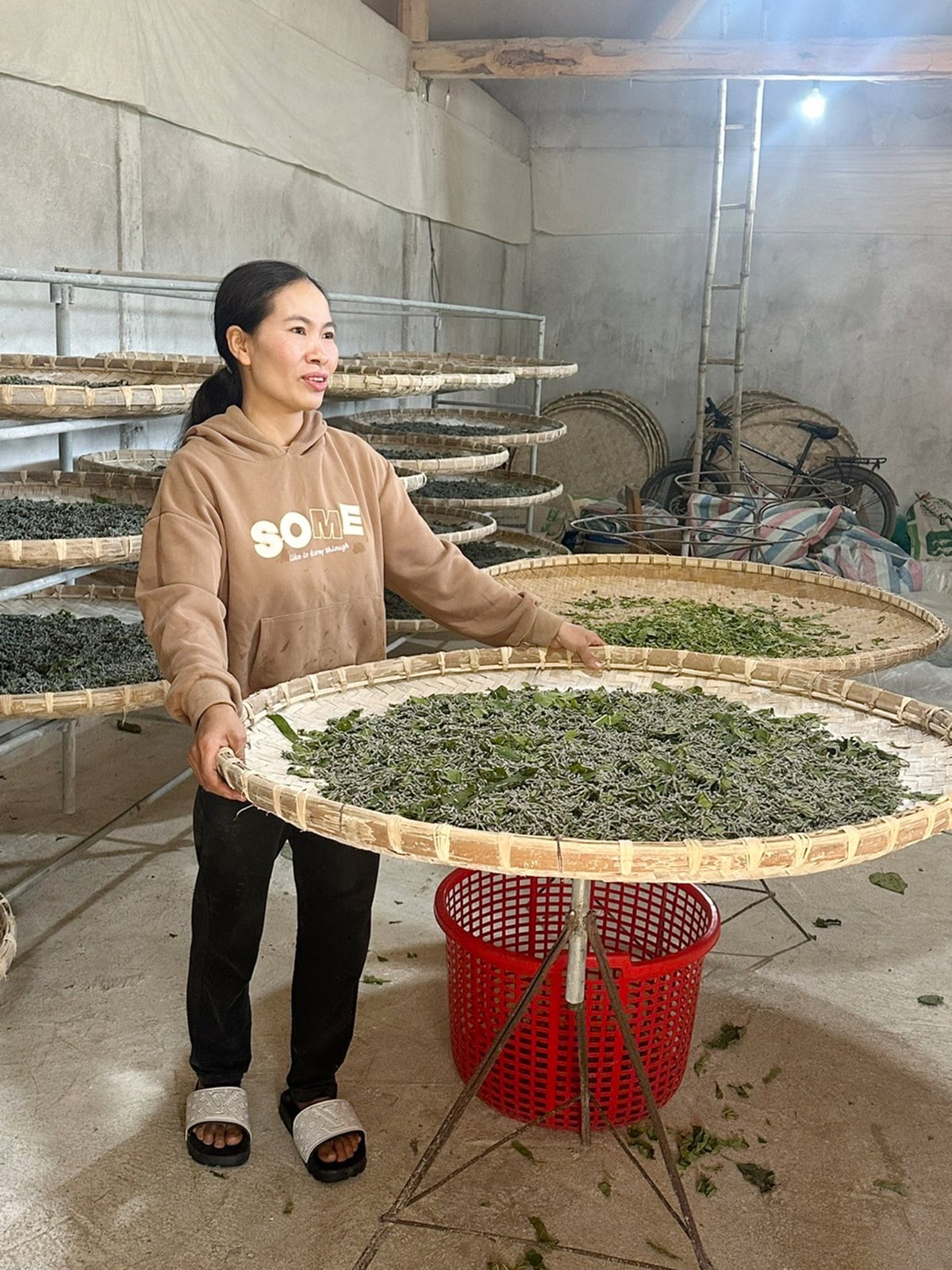 السيدة نجو ثي دين، من قرية كوك خينغ، ببلدية فوك خان، تعتني بصواني يرقات دودة القز الجاهزة للبيع في نموذج زراعة التوت وتربية دودة القز الذي تتبعه عائلتها. الصورة: بيتش هوب. Chị Ngô Thi Diên, thôn Cóc Khiểng, xã Phúc Khánh đang chăm sóc những nong tằm giống chuẩn bị xuất bán trong mô hình trồng dâu nuôi tằm của gia đình mình. Ảnh: Bích Hợp.