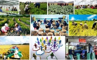 Beskrivning: Utfärdande av den nationella civilförsvarsplanen för perioden 2026-2030