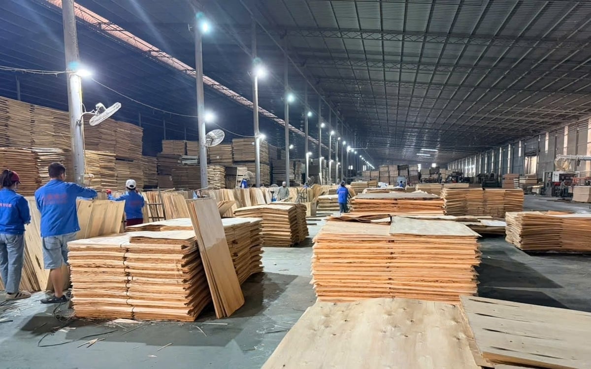 थाई गुयेन में स्थित लेचेनवुड वियतनाम कंपनी लिमिटेड का लकड़ी प्रसंस्करण कारखाना। फोटो: क्वांग लिन्ह। Nhà máy chế biến gỗ tại Thái Nguyên của Công ty TNHH Lechenwood Việt Nam. Ảnh: Quang Linh.