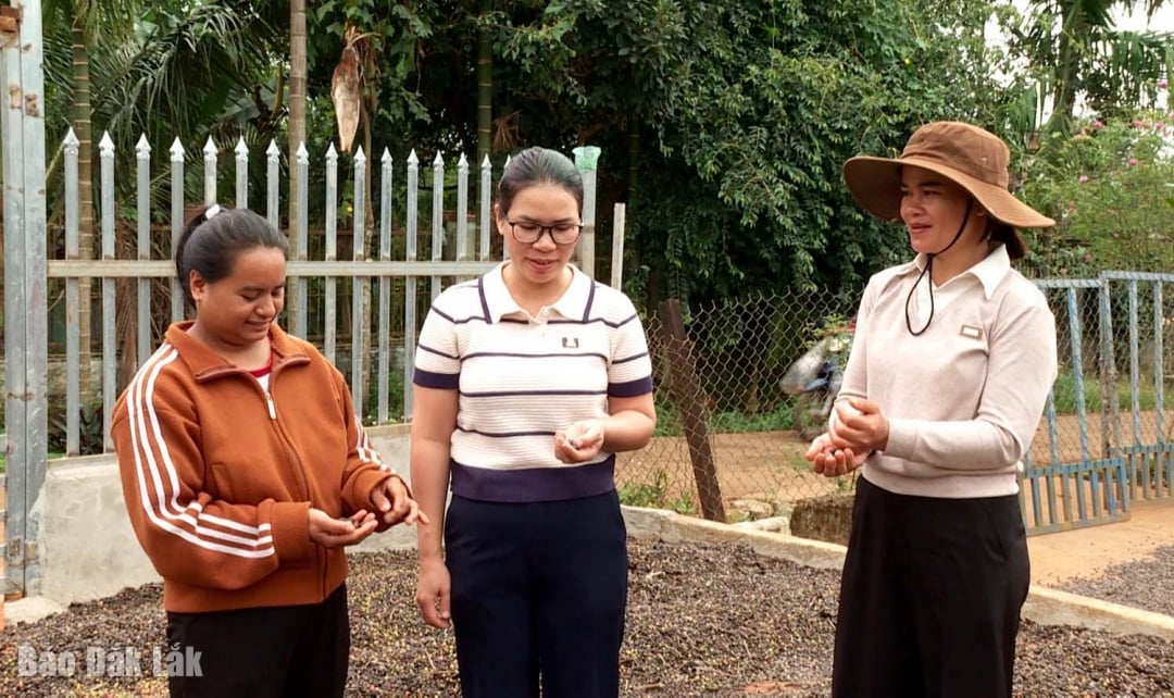 นางฮึ๊กหนี่ (ขวาสุด) หัวหน้าหมู่บ้านสะหะ ส่งเสริมและสนับสนุนให้ชาวบ้านนำรูปแบบการพัฒนาเศรษฐกิจที่มีประสิทธิภาพมาใช้ด้วยความกล้า