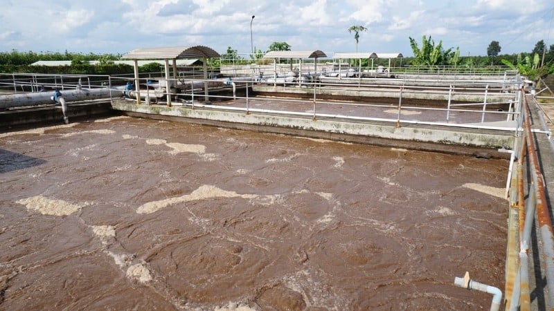 Avloppsreningsområde vid Tan Binh Industrial Park Joint Stock Company.