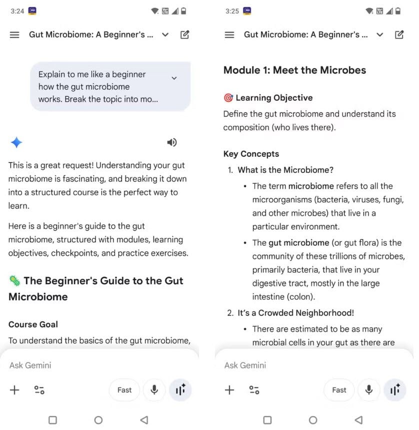 Gemini gjør AI om til en personlig veileder for travle mennesker - bilde 3