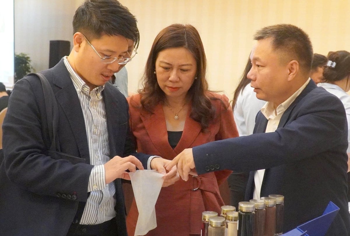 نمایندگان در حال بحث در مورد فناوری بستهبندی میوه. عکس: سون ترانگ.