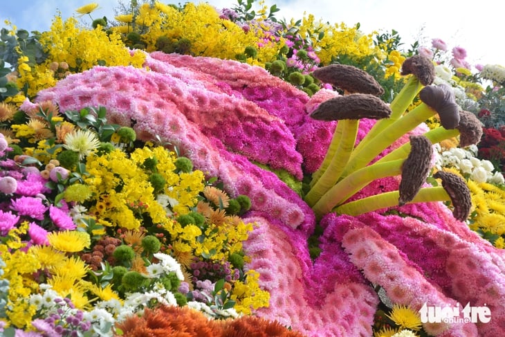 ດ່າລາດ - ຮູບທີ 3.